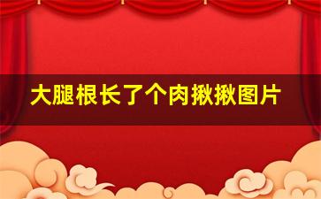 大腿根长了个肉揪揪图片