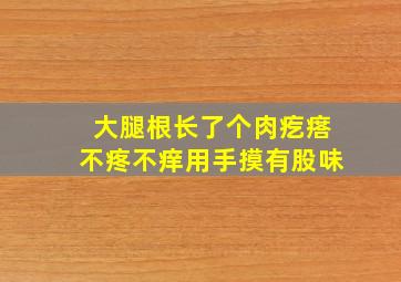 大腿根长了个肉疙瘩不疼不痒用手摸有股味