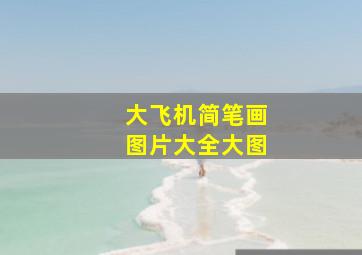 大飞机简笔画图片大全大图