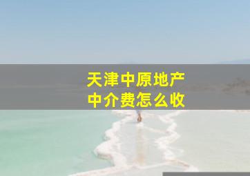 天津中原地产中介费怎么收