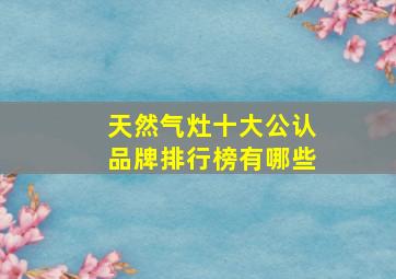 天然气灶十大公认品牌排行榜有哪些