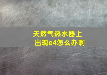 天然气热水器上出现e4怎么办啊