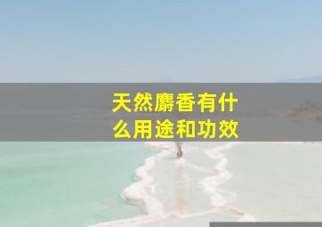 天然麝香有什么用途和功效