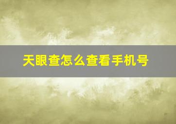 天眼查怎么查看手机号