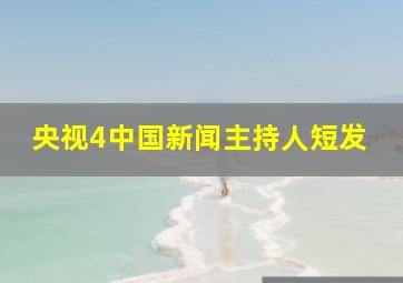 央视4中国新闻主持人短发