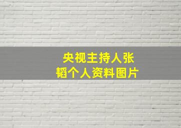 央视主持人张韬个人资料图片