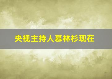 央视主持人慕林杉现在