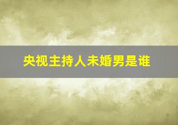 央视主持人未婚男是谁