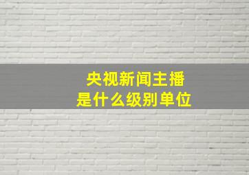 央视新闻主播是什么级别单位