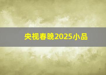 央视春晚2025小品