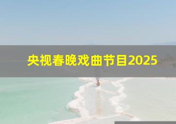 央视春晚戏曲节目2025