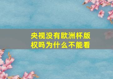 央视没有欧洲杯版权吗为什么不能看