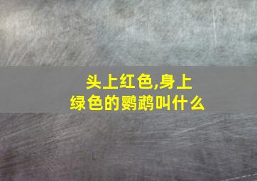 头上红色,身上绿色的鹦鹉叫什么