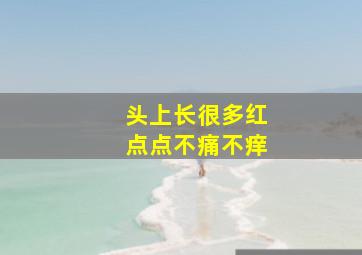 头上长很多红点点不痛不痒