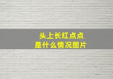 头上长红点点是什么情况图片