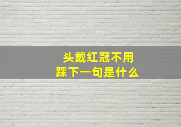 头戴红冠不用踩下一句是什么