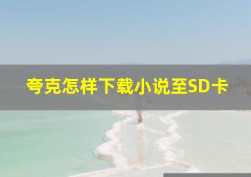 夸克怎样下载小说至SD卡