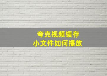 夸克视频缓存小文件如何播放