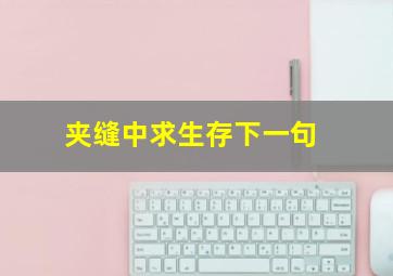 夹缝中求生存下一句