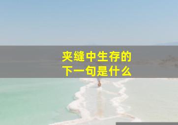 夹缝中生存的下一句是什么