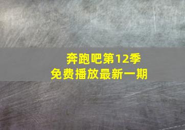 奔跑吧第12季免费播放最新一期