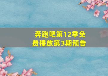 奔跑吧第12季免费播放第3期预告