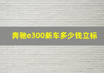 奔驰e300新车多少钱立标