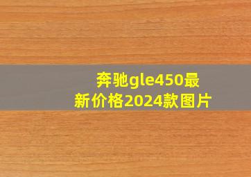 奔驰gle450最新价格2024款图片