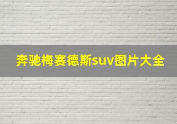 奔驰梅赛德斯suv图片大全