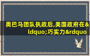 奥巴马团队执政后,美国政府在“巧实力”