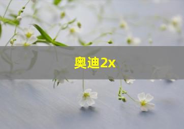 奥迪2x