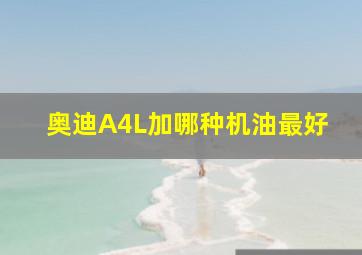 奥迪A4L加哪种机油最好