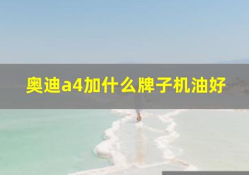 奥迪a4加什么牌子机油好