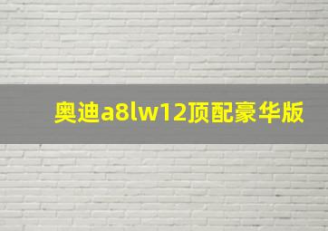 奥迪a8lw12顶配豪华版