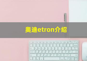 奥迪etron介绍