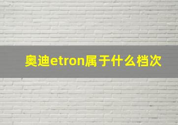 奥迪etron属于什么档次