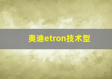 奥迪etron技术型