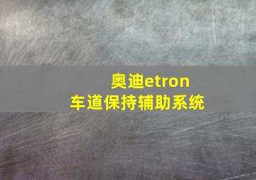 奥迪etron车道保持辅助系统