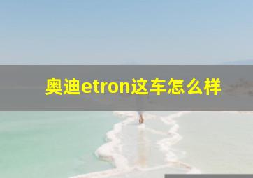 奥迪etron这车怎么样