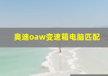 奥迪oaw变速箱电脑匹配