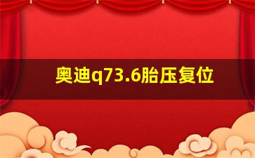 奥迪q73.6胎压复位