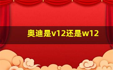 奥迪是v12还是w12