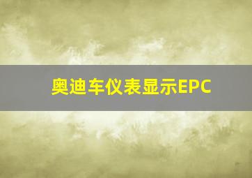 奥迪车仪表显示EPC