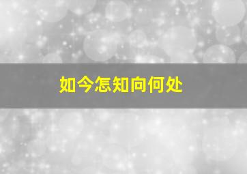 如今怎知向何处