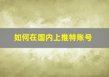 如何在国内上推特账号