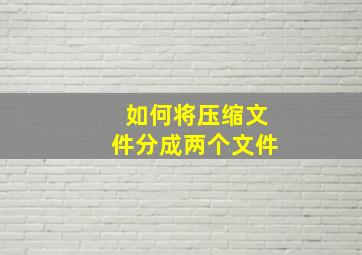 如何将压缩文件分成两个文件