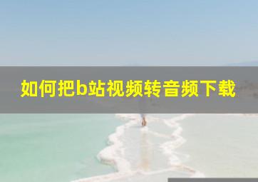 如何把b站视频转音频下载