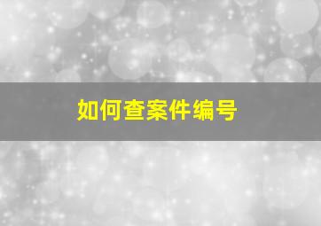 如何查案件编号