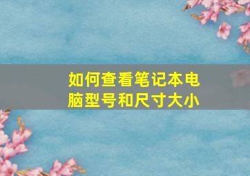 如何查看笔记本电脑型号和尺寸大小