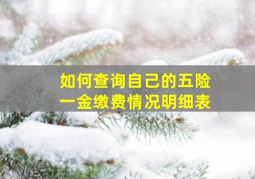 如何查询自己的五险一金缴费情况明细表